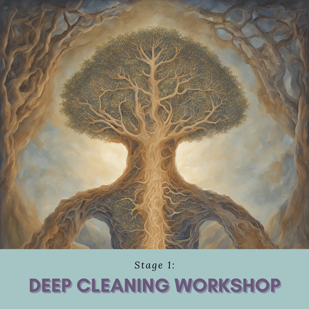 Deep Cleaning Workshop Program